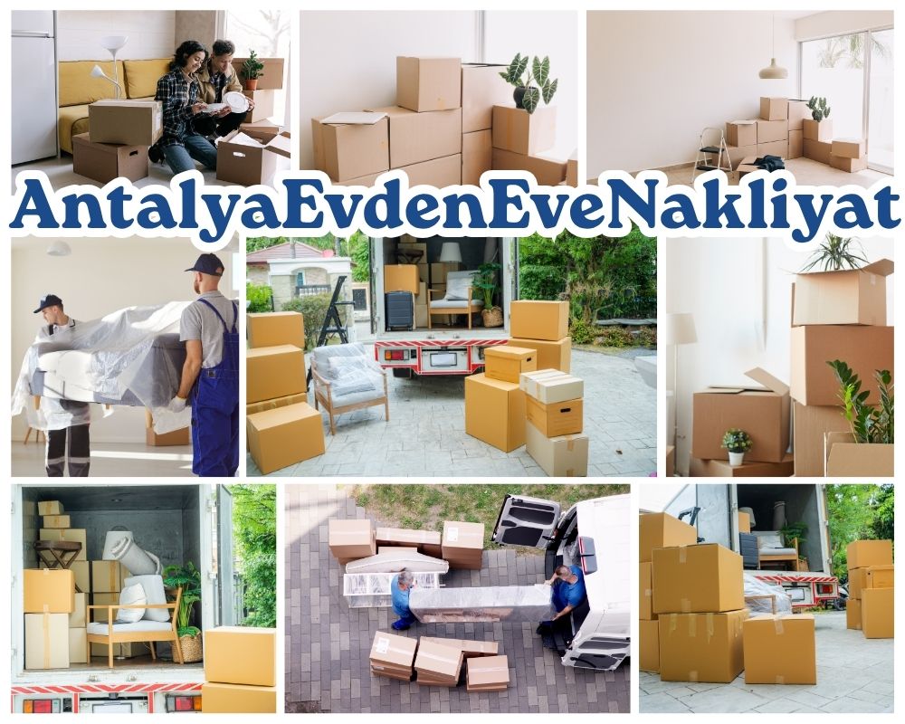 Antalya Dilovası Evden Eve Taşımacılık